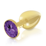 Booty Plug Luxury Set