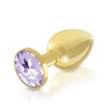 Booty Plug Luxury Set