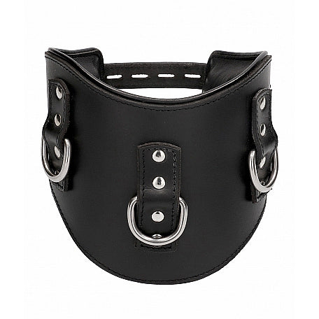 Buy the Padded Black Leather Adjustable Locking Posture Collar