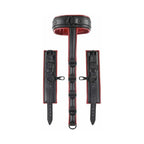 Saffron Adjustable Neck & Wrist Restraints