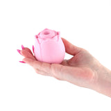 The Vibrating Rose