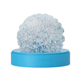 GEO Coral
