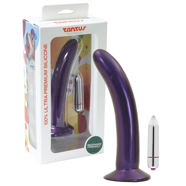 Leisure Vibrating Dildo