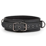 Faux Leather Collar and Lead