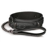 Faux Leather Collar and Lead