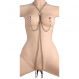 Chained Collar & Nipple To Labia Clamps