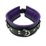 Leather Padded Collar